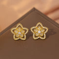 [titanium steel] cross-border new copper inlaid zirconium five-pointed star necklace for women, high-end niche design, versatile pendant jewelry