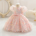 Baby birthday princess dress first birthday little girl butterfly embroidered mesh tutu dress children's formal wear in stock dropshipping