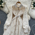 French chic elegant high-end embroidered mesh dress - women's autumn tie-waist single-breasted maxi dress