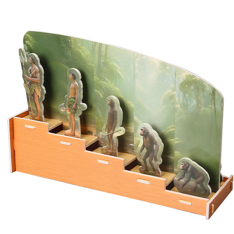 Scientific small production Human evolution display Children's science and education Educational puzzle Assembling toys DIY handmade material bag accessories