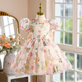 hot-selling girls' dresses, new summer collection for baby girls and toddlers, birthday and first birthday party dresses, printed princess dresses for children