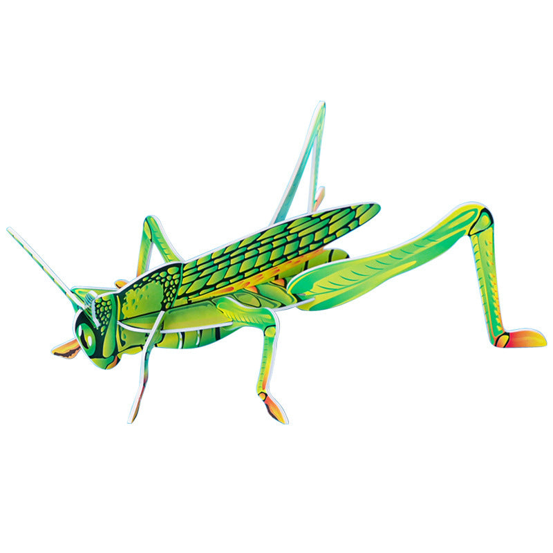 KT grasshopper, technology small production handmade DIY splicing primary school students insect cognition science education science experiment package