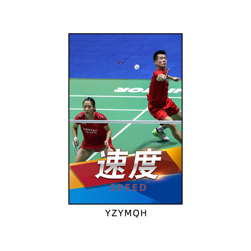 Badminton hall star poster mural Li Zongwei hanging painting ball sports stadium Lin Dan Chen Yufei decorative painting