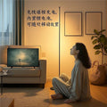 Rechargeable minimalist floor lamp - perfect for living room, bedroom, bedside, or corner. warm light led ambient lighting with remote control dimming
