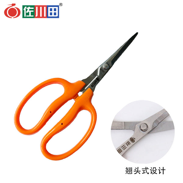 Taiwan Sakawada 939 stainless steel, upturned head scissors, vegetable flowers, fruit picking scissors, sunshine rose grape big bill