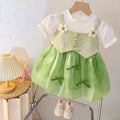 Girls' spring/autumn dress -  new collection: stylish children's skirt, autumn outfit, little girl's princess dress, tulle tutu skirt