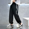 Boys' spring pants: new  styles for mid-to-large children - fashionable spring sport pants, casual sweatpants, trendy for boys