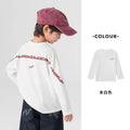 Boys' spring sweatshirt  new stylish korean style mid-to-large children's handsome spring and autumn kids' sportswear children's clothing