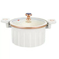 Enamel roman pot 10 liters large capacity double ear micro-pressure cooking pot for home multifunctional stew pot gift wholesale