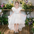Girls' formal dresses flower girl wedding dresses train gowns birthday piano recital runway stunning dresses children's princess dresses