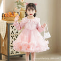 Girls' spring and autumn tutu dress - children's mesh dress - little girl's princess dress - long sleeve - ages 3-12