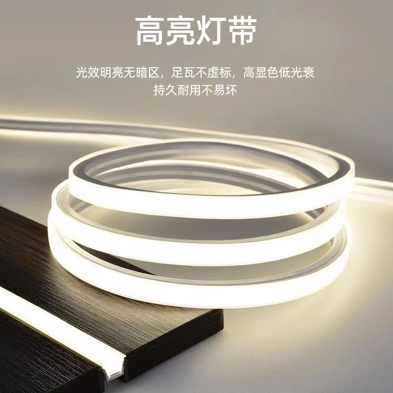 Cross-border direct supply high-voltage light strip 1010 silicone 24V/12V/220V flexible outdoor lighting engineering linear light strip