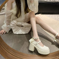 Retro mary jane shoes women's 2024 new arrivals witch shoes super high heel chunky heel platform round toe versatile hot girl flats