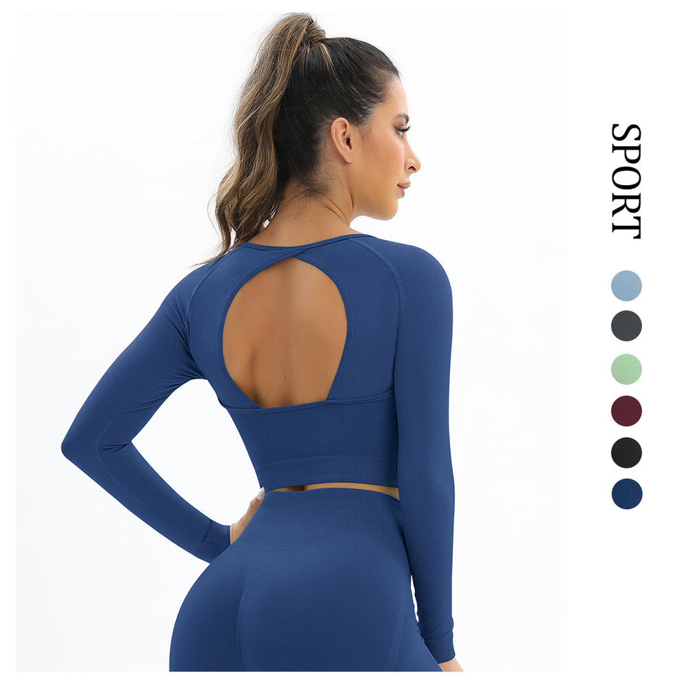 Clearance: european and american style seamless yoga top for women - sexy cutout back, long sleeve, quick-dry activewear top for fitness and exercise