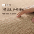 Wholesale custom carpets: vintage-inspired, high-end, light luxury, waterproof area rugs for home use - large format, full coverage - direct from the manufacturer