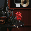 High-value, affordable luxury ceramic fruit fork & jar set - sunflower & bear design, stainless steel fruit forks included