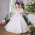 Girls' formal dress - stunning princess gown - high-end little girl's hostess/piano performance dress - princess style sequin dress