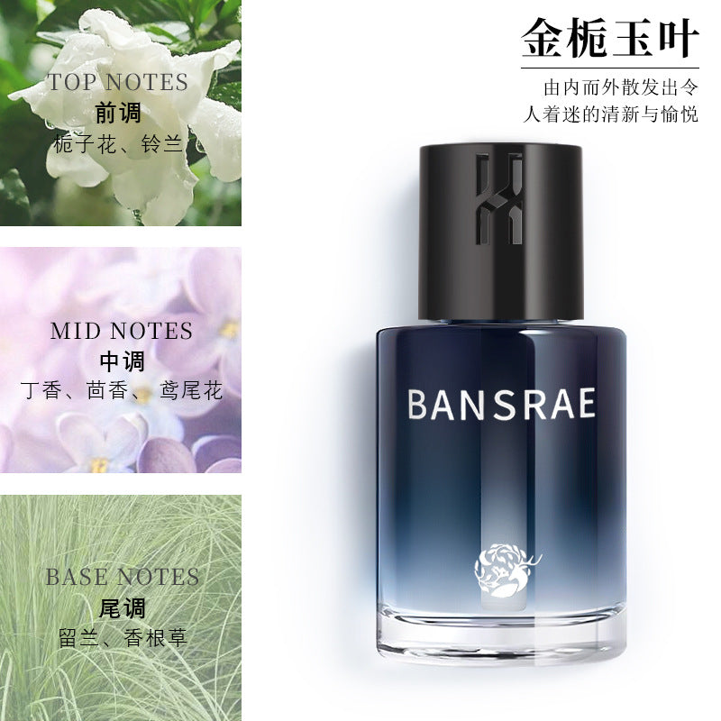 Car air freshener - new premium car perfume for men and women - long-lasting, high-end fragrance, sophisticated, flameless diffuser