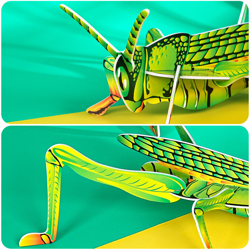 KT grasshopper, technology small production handmade DIY splicing primary school students insect cognition science education science experiment package