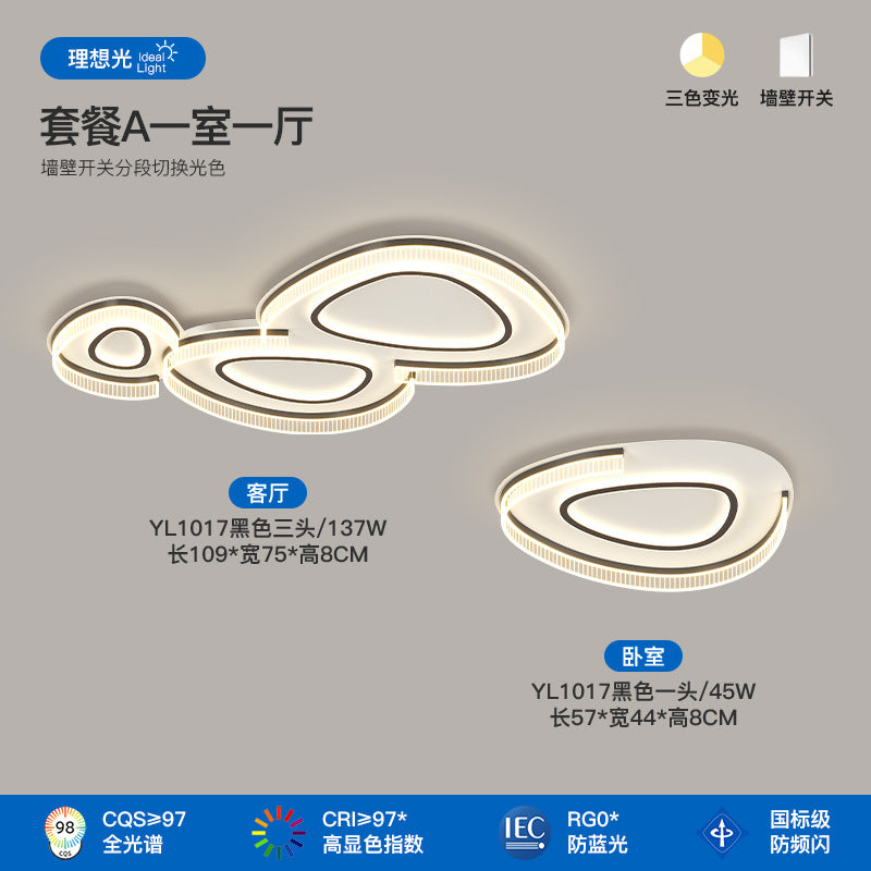 Living room ceiling light modern simple atmosphere creative pebble shape full spectrum lighting whole house package combination