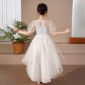 Girls' train dress summer little girl's children's day performance costume party skirt piano recital runway dress for girls