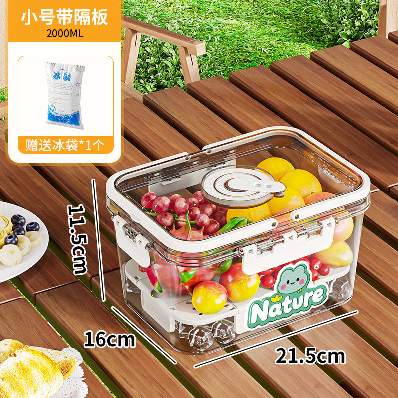 Portable crisper portable camping household refrigerated fruit bento sealed food grade outdoor storage box