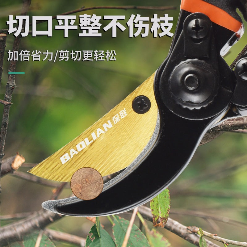 Scissors, gardening pruning shears, thick branch shears, garden flower shears, fruit tree pruning branches, special labor-saving cutting tools