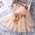summer collection: little girl's dress - ethereal tulle princess style tutu dress for baby girls, kids' bubble sleeve dress