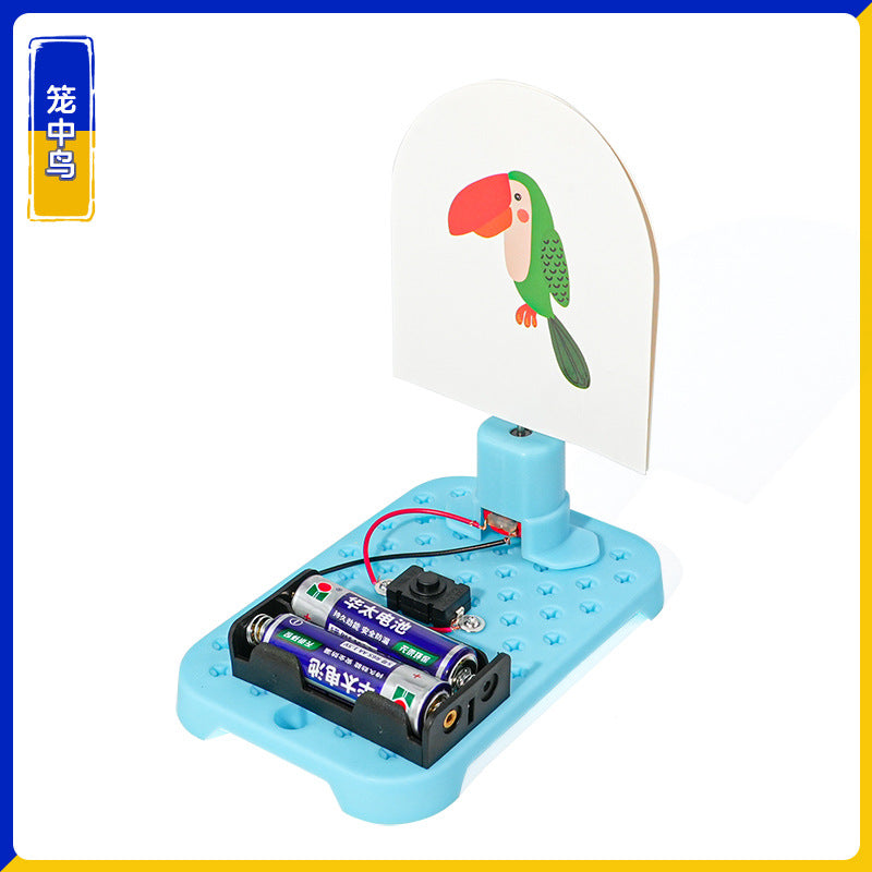 Electric cage bird, technology small production, handmade DIY student invention, visual stay puzzle science experiment