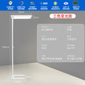 Full spectrum floor lamp - eye-care study light for kids' study room, reading, homework, and desk use