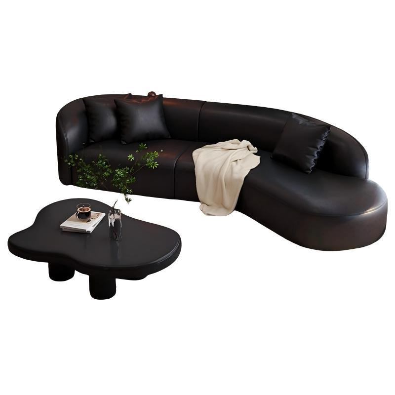 Nordic light luxury sofa - black retro living room home small apartment clothing store curved leather reception large sofa