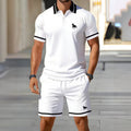 hot-selling men's polo shirt set, new summer two-piece casual short-sleeve and shorts set, dropshipping available
