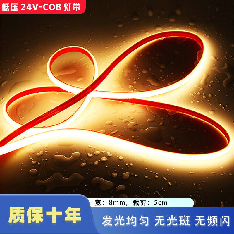 Zhongshan Lighting Home Decoration Company Waterproof COB Light with 24V Flexible Atmosphere Ceiling TV Wall No Main Light