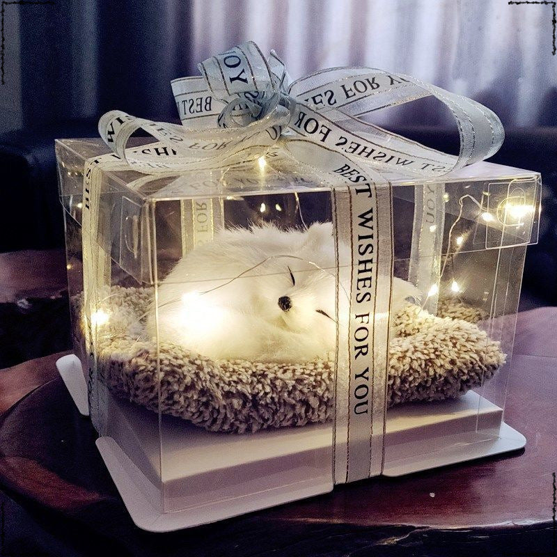 Birthday gifts for girls on Children's Day, children's girlfriends, girlfriends, simulated cats to accompany dolls 61 gift boxes