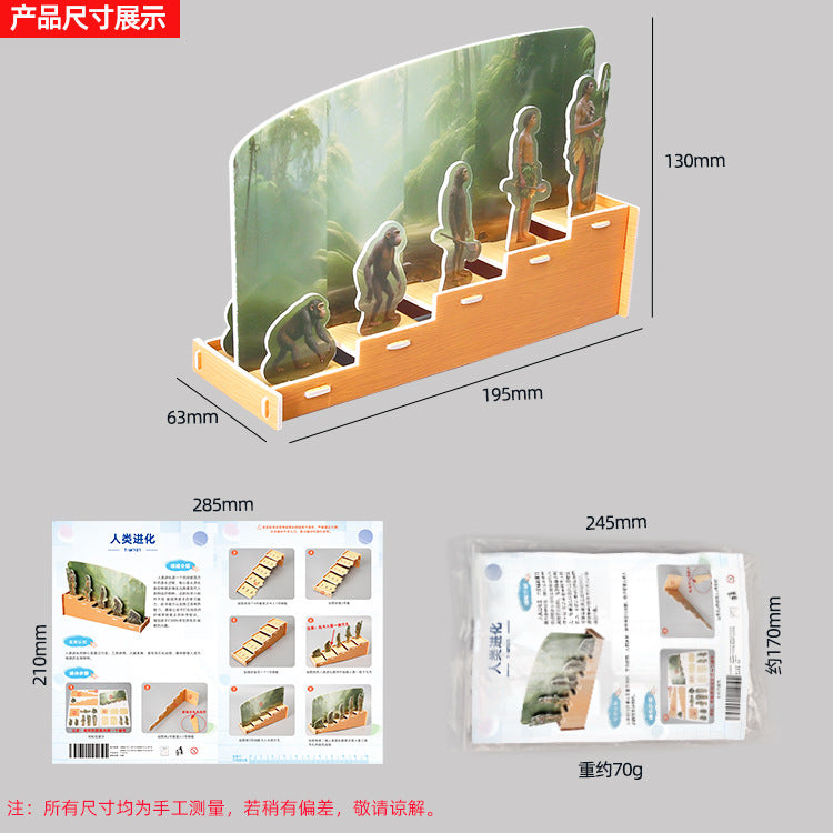 Scientific small production Human evolution display Children's science and education Educational puzzle Assembling toys DIY handmade material bag accessories
