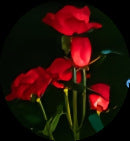 Solar light Outdoor garden light Automatic light in the dark Solar butterfly Firefly rose floor insert night light