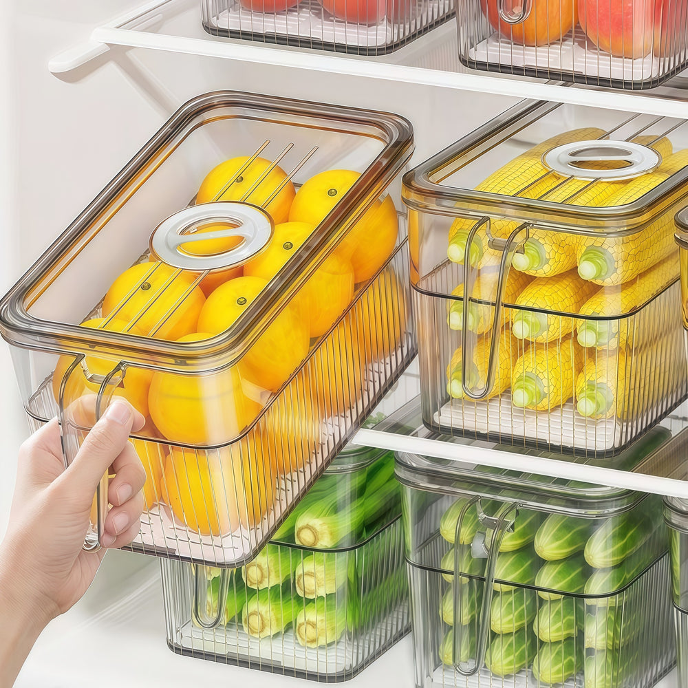 Refrigerator fresh-keeping storage box, food-grade kitchen organizer for vegetables, fruits, eggs, and frozen food, with handle