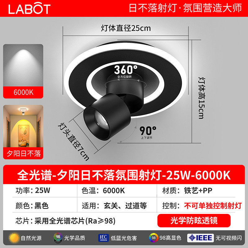 Aisle lights, corridor lights, surface-mounted projection, never-sunset atmosphere lights, entrance hall, high-end balcony led ceiling lights