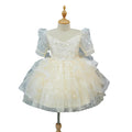 Ready-to-ship, hot-selling girls' dresses for cross-border e-commerce, new high-end flower girl dresses, wedding dresses, piano recital dresses, and princess dresses for children, perfect for