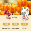 Tiktok trending bathroom aromatherapy: indoor odor eliminator, home fragrance, toilet & bathroom odor remover, perfume factory direct