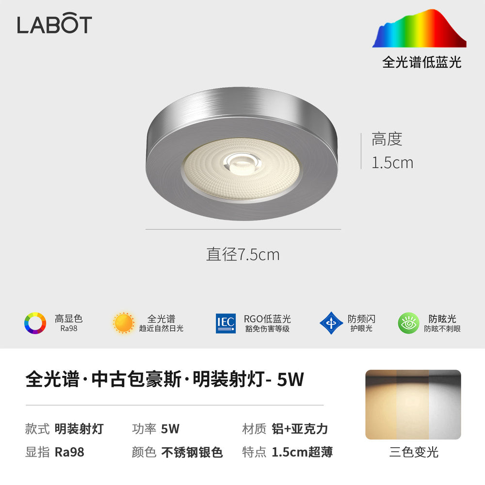 Bauhaus minimalist aisle corridor ultra-thin surface-mounted downlight spotlight retro industrial style anti-glare ceiling fixture (no main light)