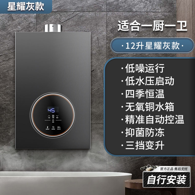 Wholesale royalstar natural gas gas water heater for home13l liquefied gas coal gas forced exhaust gas model 16 liters
