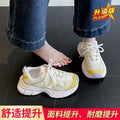 Girls' shoes: new  spring/autumn collection - breathable kids' sneakers, versatile white shoes for girls (sizes for mid-to-large children), and trendy chunky sneakers