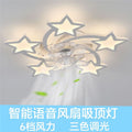 Ceiling lamp with fan new arrivalcasual restaurant lamp modern smart electric fan branch special-shaped fan lamp
