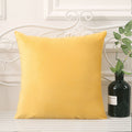 Simple pure color pillowcase velvet pillow bedside waist pillow living room sofa cushion dutch velvet drop shipping free shipping