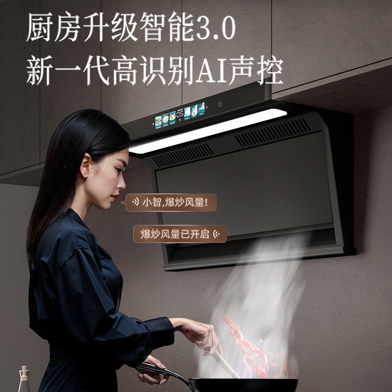 Wholesale royalstar high suction range hood for home kitchen new arrival small rental roof side double range hood