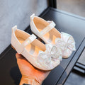 Girls' leather shoes - spring  new collection: princess shoes for baby girls, soft-soled children's shoes, spring/autumn single shoes, pink