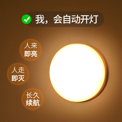 Human body sensor night light automatic touch smart charging for home voice control light control wardrobe aisle corridor led light
