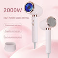 hair dryer for home hairdressing shop special high-power high-wind hair care hair dryer factory direct sales wholesale
