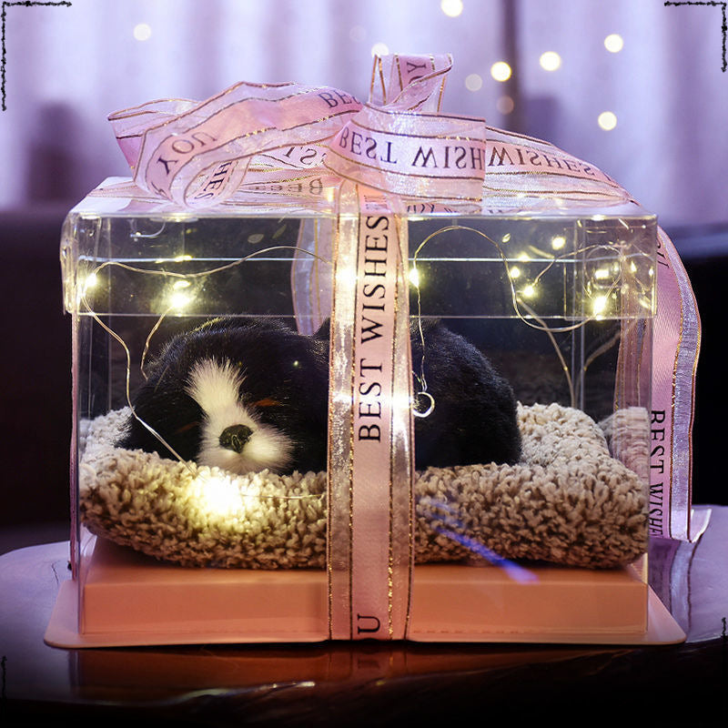 Birthday gifts for girls on Children's Day, children's girlfriends, girlfriends, simulated cats to accompany dolls 61 gift boxes